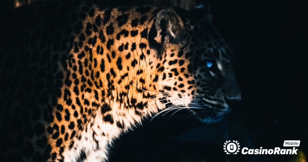Yggdrasil Partners ReelPlay om de Jaguar SuperWays uit Bad Dingo vrij te geven